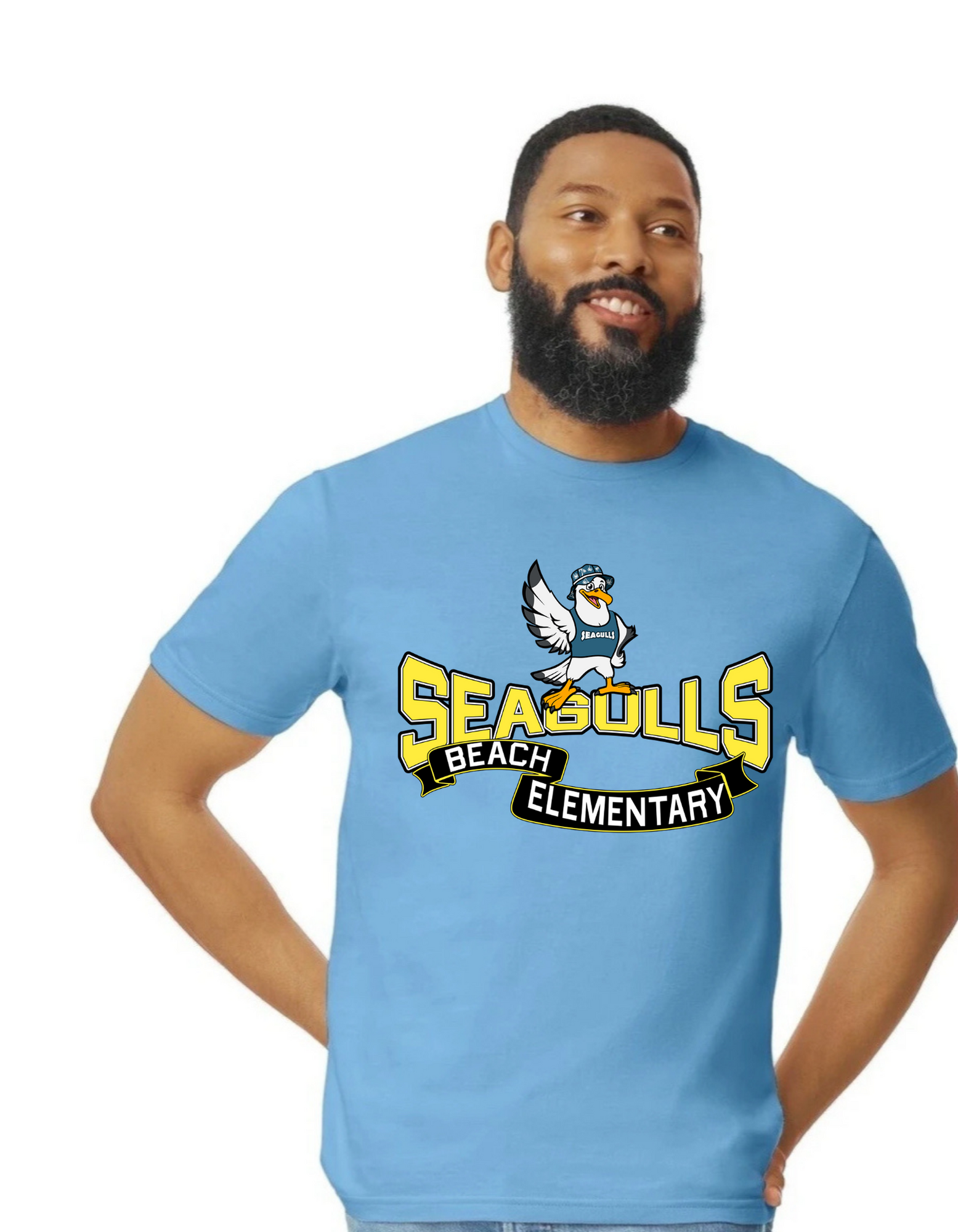 Seagulls Scroll
